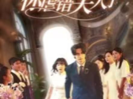 陸總住手吧，你虐錯夫人了(全集)