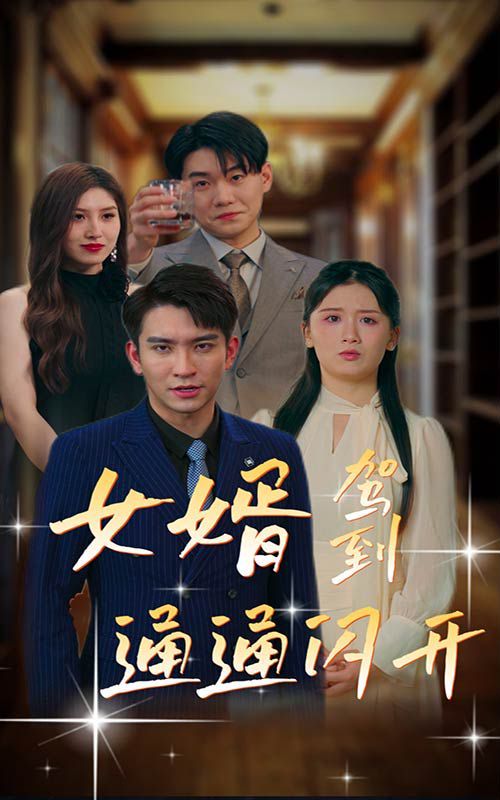 女婿駕到通通閃開(kāi)(全集)