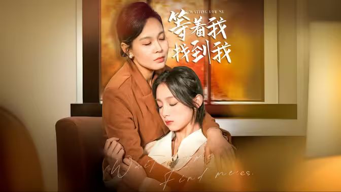 等著我，找到我(全集)