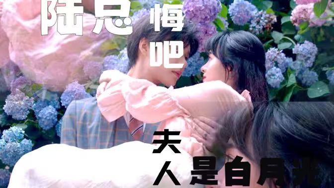 陸總懺悔吧，夫人才是白月光(全集)