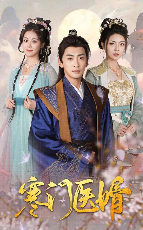 寒門(mén)醫(yī)婿(全集)