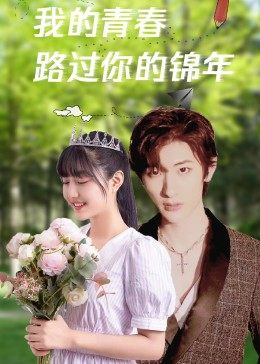 我的青春路過(guò)你的錦年