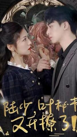 陸少，葉秘書又開撩了(全集)