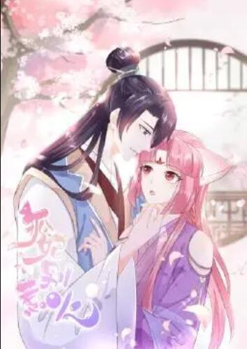 狐妃，別惹火