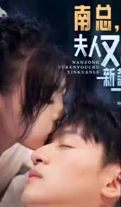 南總，夫人又出新款了(全集)