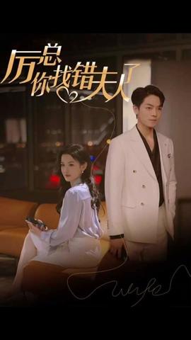 厲總，你找錯(cuò)夫人了(全集)