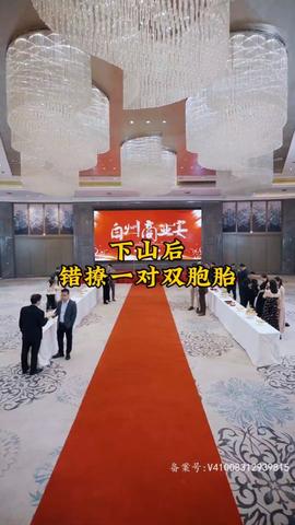 下山后，錯撩一對雙胞胎(全集)