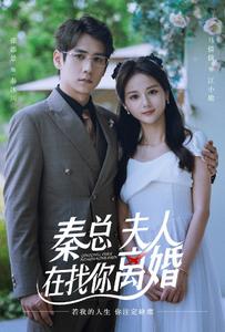 秦總，夫人在找你離婚(全集)