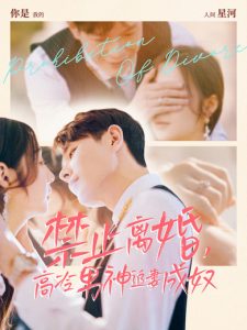 禁止離婚，高冷男神追妻成奴(全集)