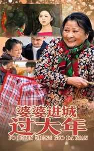 婆婆進(jìn)城過(guò)大年(全集)