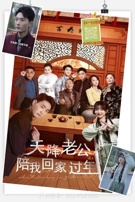 天降老公陪我回家過(guò)年(全集)