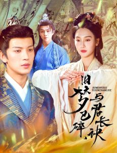 舊夢已碎，與君長訣＆終是深情錯付君(全集)