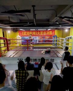 武馳人生2之颶風(fēng)營救(全集)