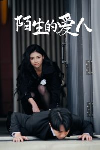 陌生的愛(ài)人(全集)