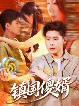 鎮(zhèn)國傻婿(全集)