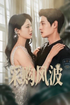 采購(gòu)風(fēng)波(全集)