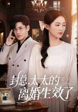 封總，太太的離婚生效了(全集)