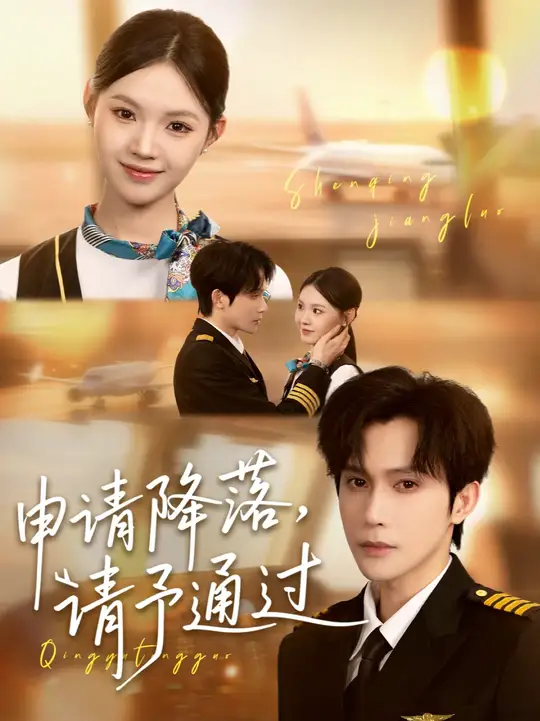 申請(qǐng)降落請(qǐng)予通過(全集)