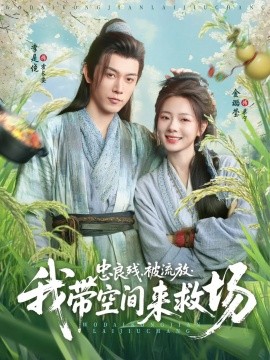 忠良殘被流放我?guī)Э臻g來救場(全集)