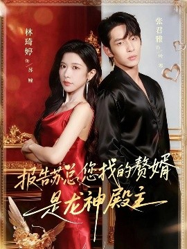 報(bào)告蘇總，您找的贊婿是龍神殿主(全集)