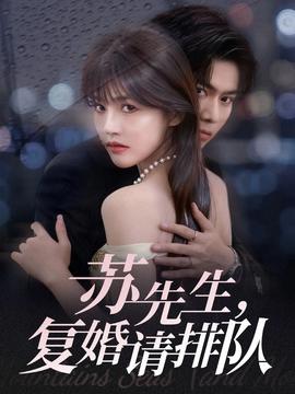 蘇先生，復(fù)婚請排隊(全集)