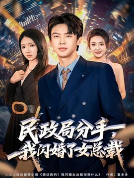 民政局分手，我閃婚了女總裁(全集)
