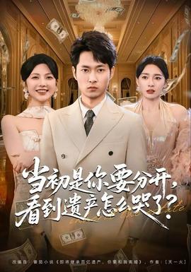 當(dāng)初是你要分開，看到遺產(chǎn)怎么哭了？(全集)